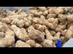 ماشین لباسشویی سبزیجات تجاری و تمیز کردن پایدار رستوران فروشگاه غذا