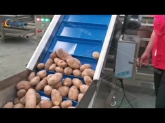 خط تولید سرخک های سرخ شده تازه