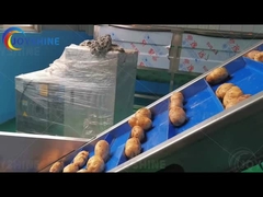 خط تولید سرخک سرخک